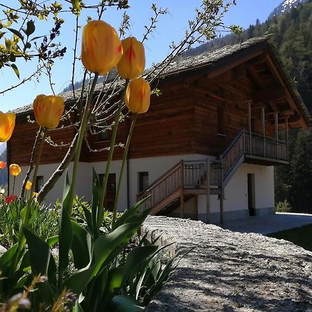 B&B Lorelei Gressoney-Saint-Jean Kültér fotó