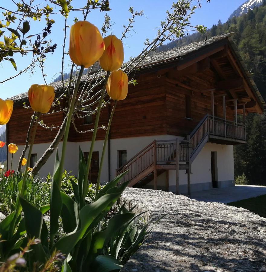 B&B Lorelei Gressoney-Saint-Jean Kültér fotó